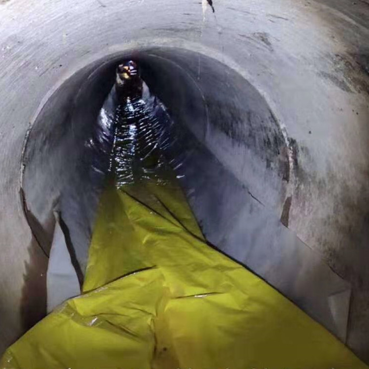 永嘉管道光固化修复